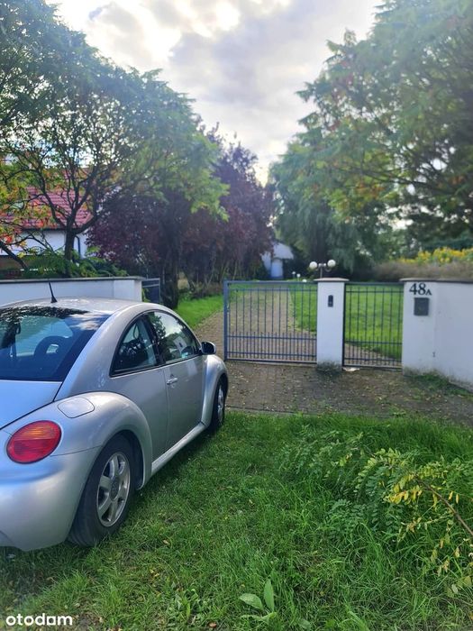 Dom z dużą działką w okolicach Borów Tucholskich dla Ciebie !