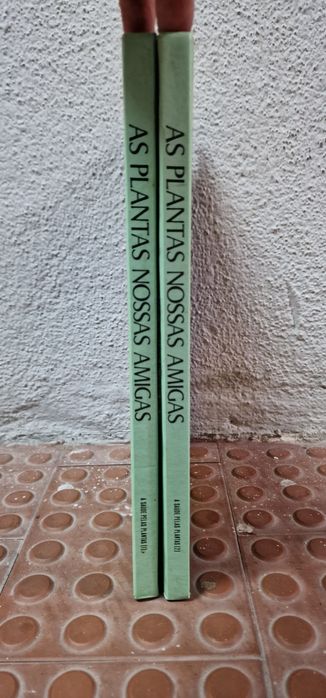 As plantas são nossas amigas