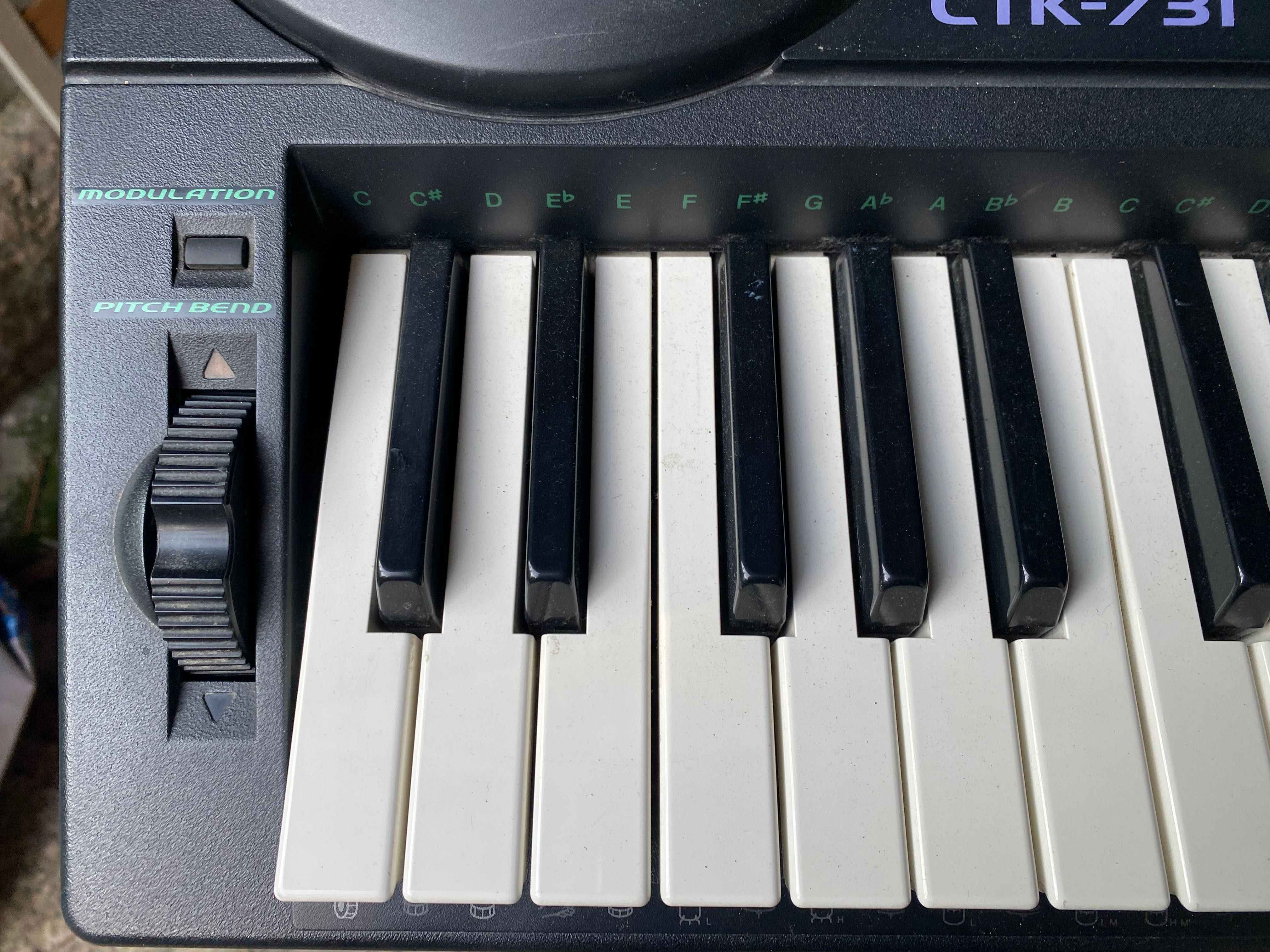 Teclado Casio CTK-731
