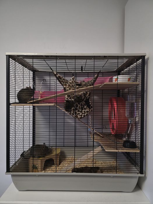 Koszatniczki 2 szt. Klatka XL