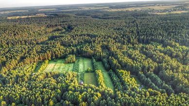 Domek przy lesie Roztocze na wyłączność z dala od sąsi