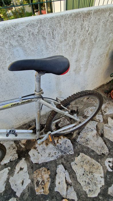 Bicicleta adulta