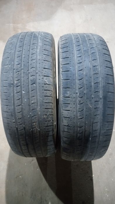 2 Pneus 225/55rR19 99H usados