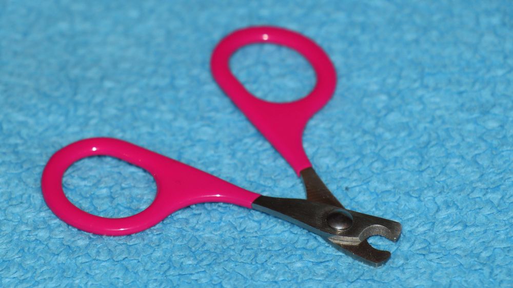 Cążki do pazurów nożyczki do pazurków obcinaczki do pazurów