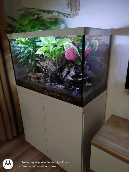 Akwarium z szafką 160L 80x50x40 Paludariu