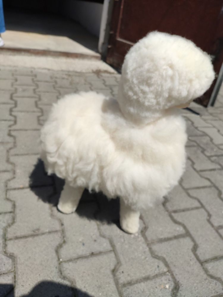 Siedzisko owieczka