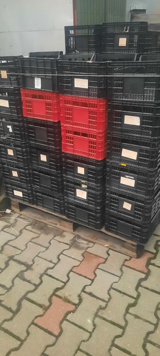 Sprzedam  skrzynki  plastikowe. do  owoców iwarzyw