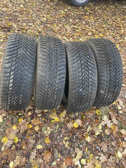 Зимові Шини Nokian R16 205/55