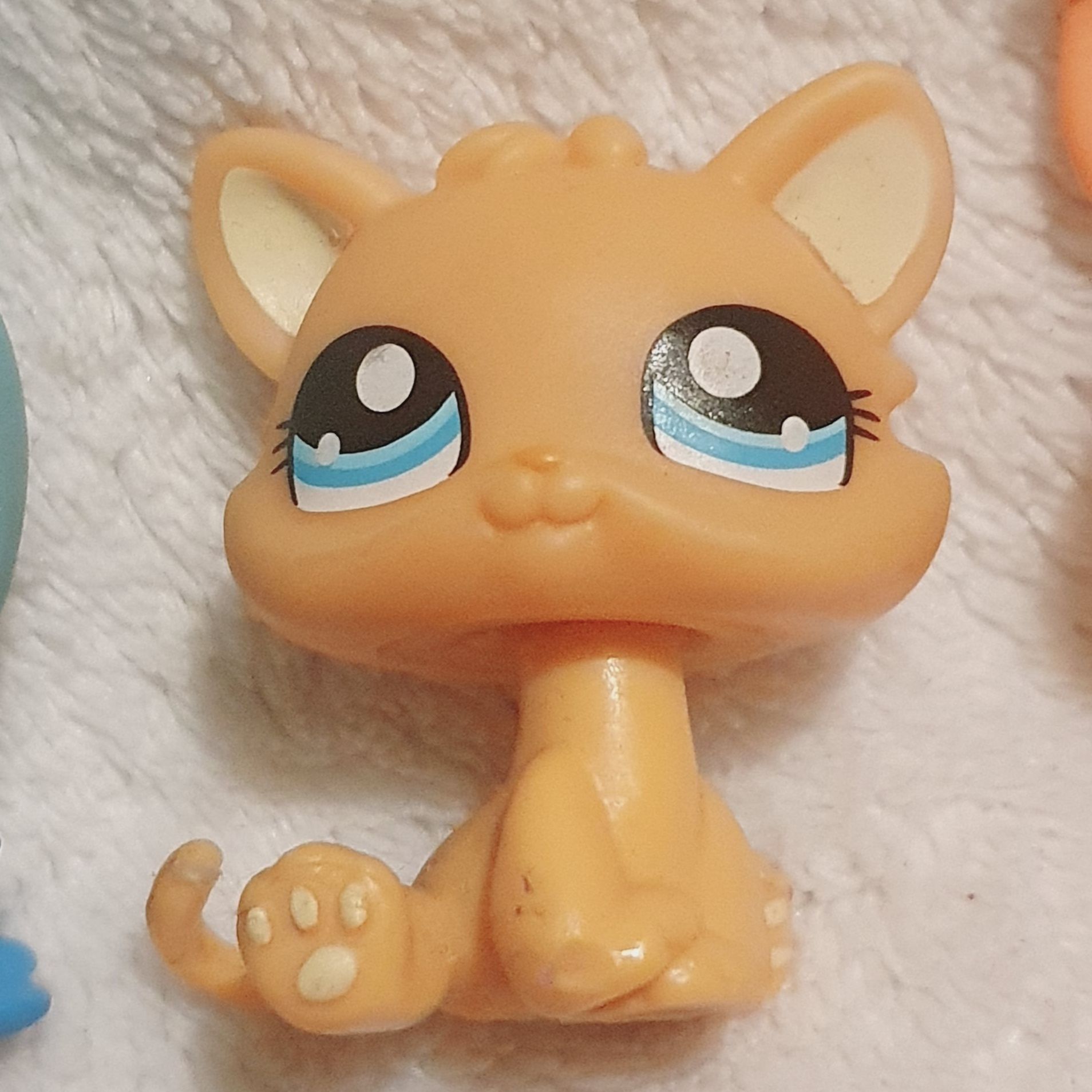 Littlest Pet Shop gato bebé #1371 raro 100% autêntico