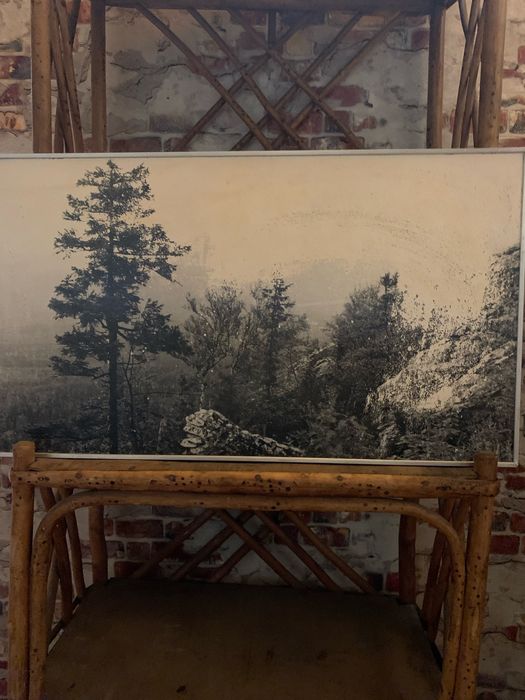 Картина. Фотопейзаж. Ссср.