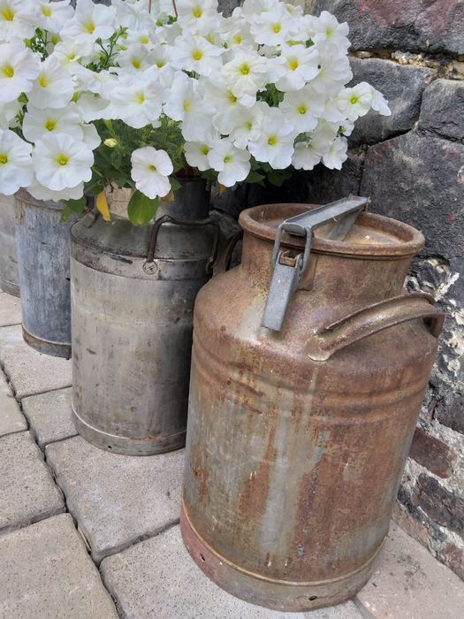 Zabytkowa stara kanka na mleko