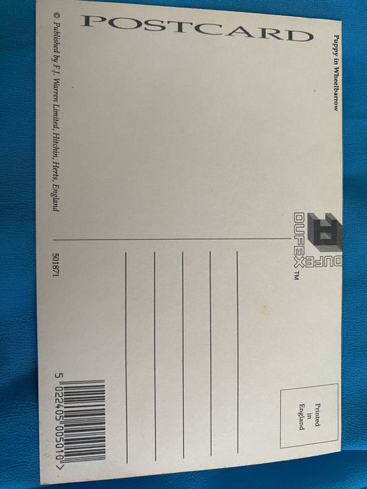 unikatowa vintage laserowa pocztówka Dufex Prints piesek z kotkiem