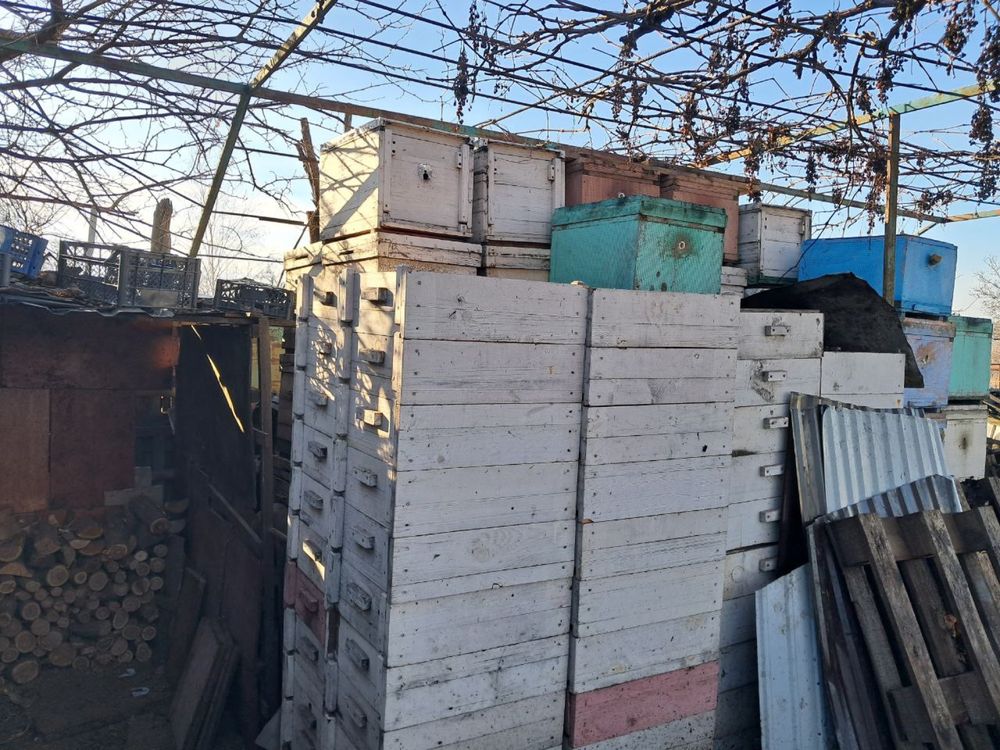 Улья для пчел недорого