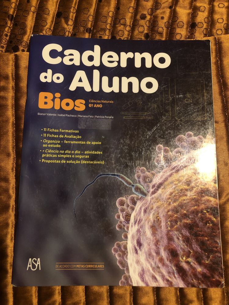 Livros de Atividades - FICHAS 6. ANO