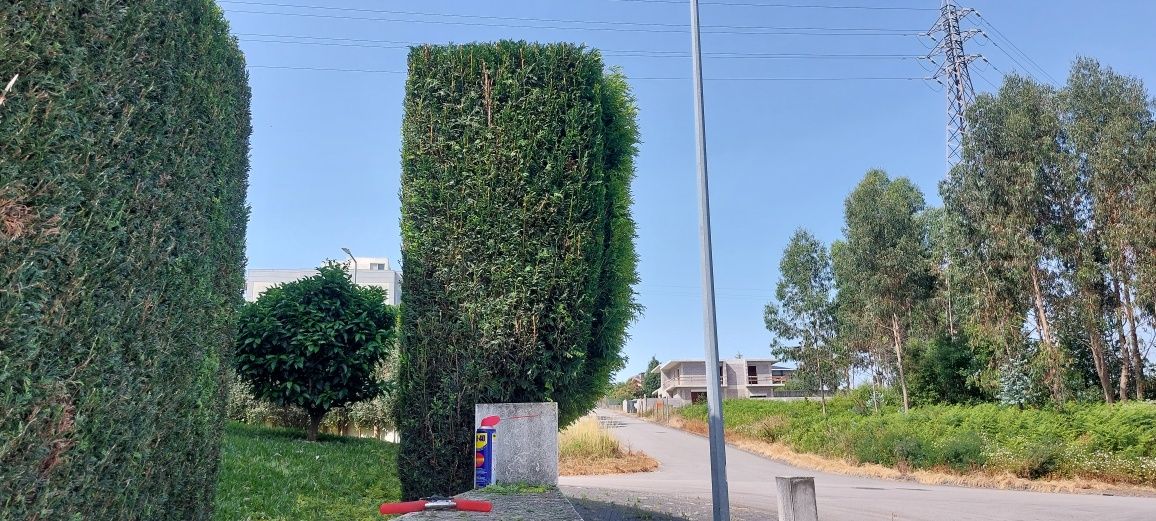 Trabalhos de jardinagem