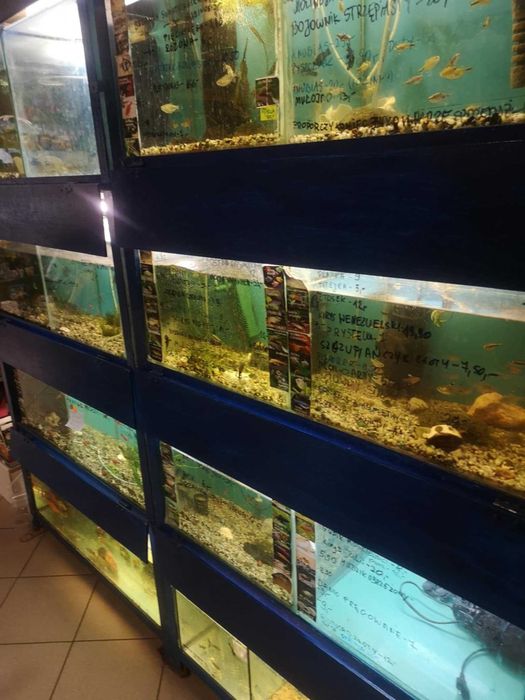 Regał akwarystyczny - kompletny stan .