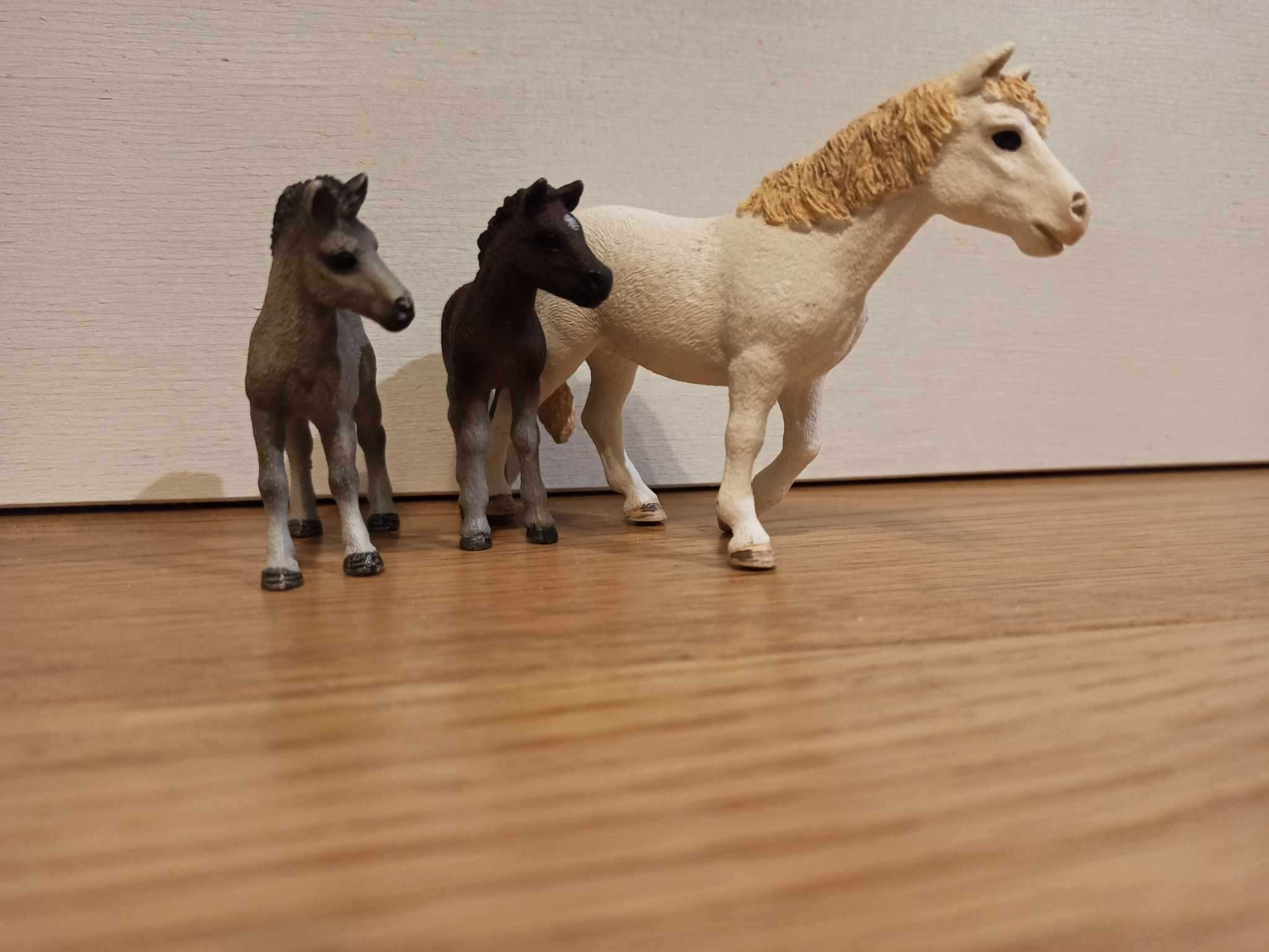 Konie Schleich, dorosłe, źrebięta, duzy wybór