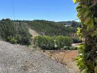 Terreno Lourinhã/Ribeira dos Palheiros