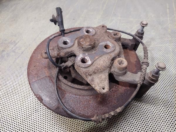 Manga de eixo trás esquerda RENAULT Megane III (BZ0_)