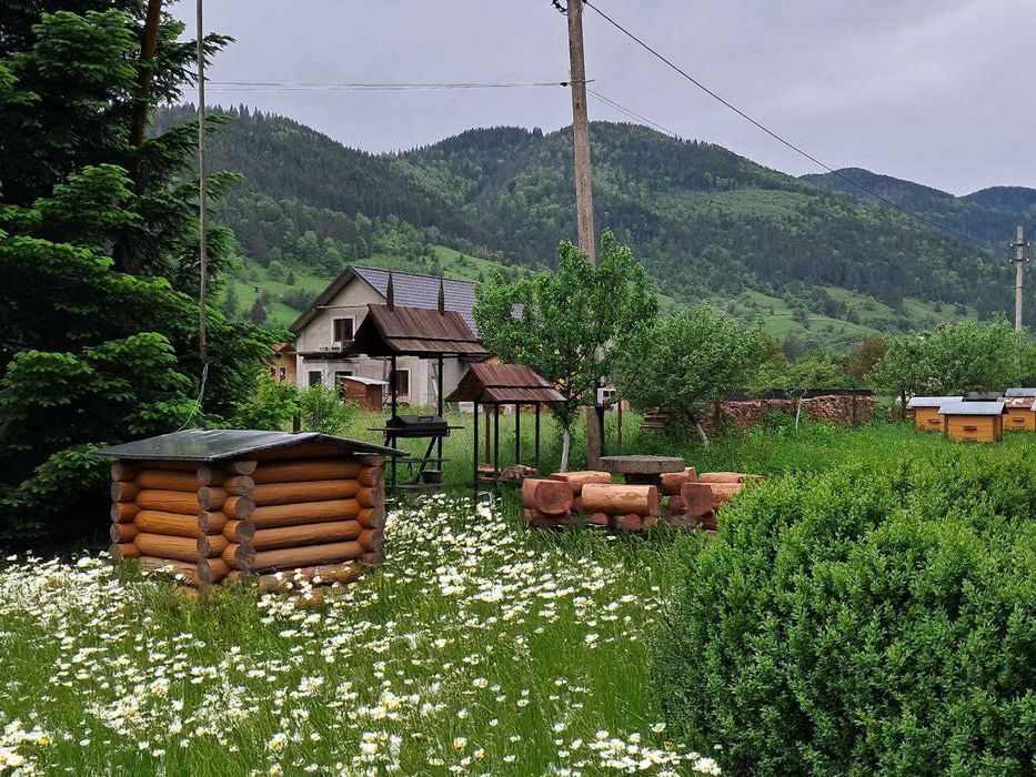 Здам подобово два дерев'яні будинки в Карпатах: Маєток  «LINDEN GROVE»