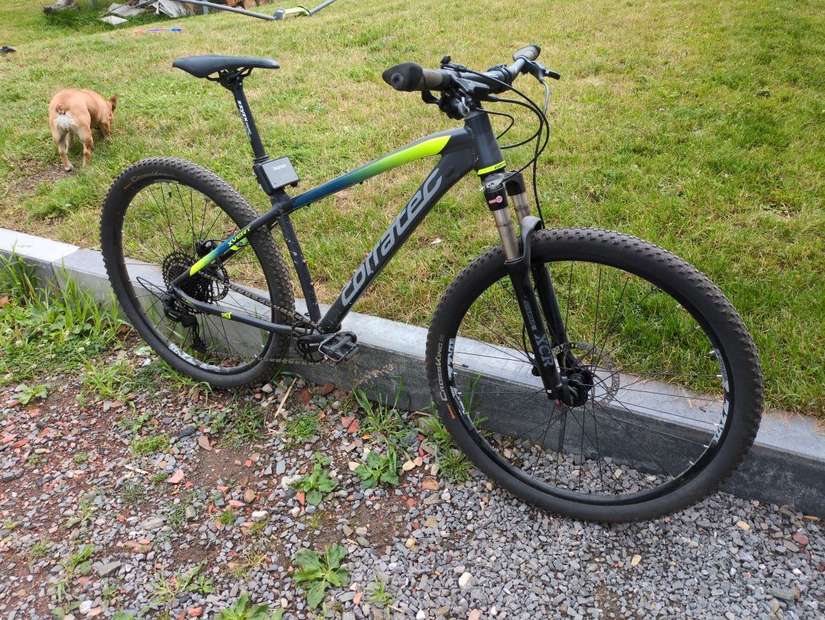 Rower MTB Corratec elite