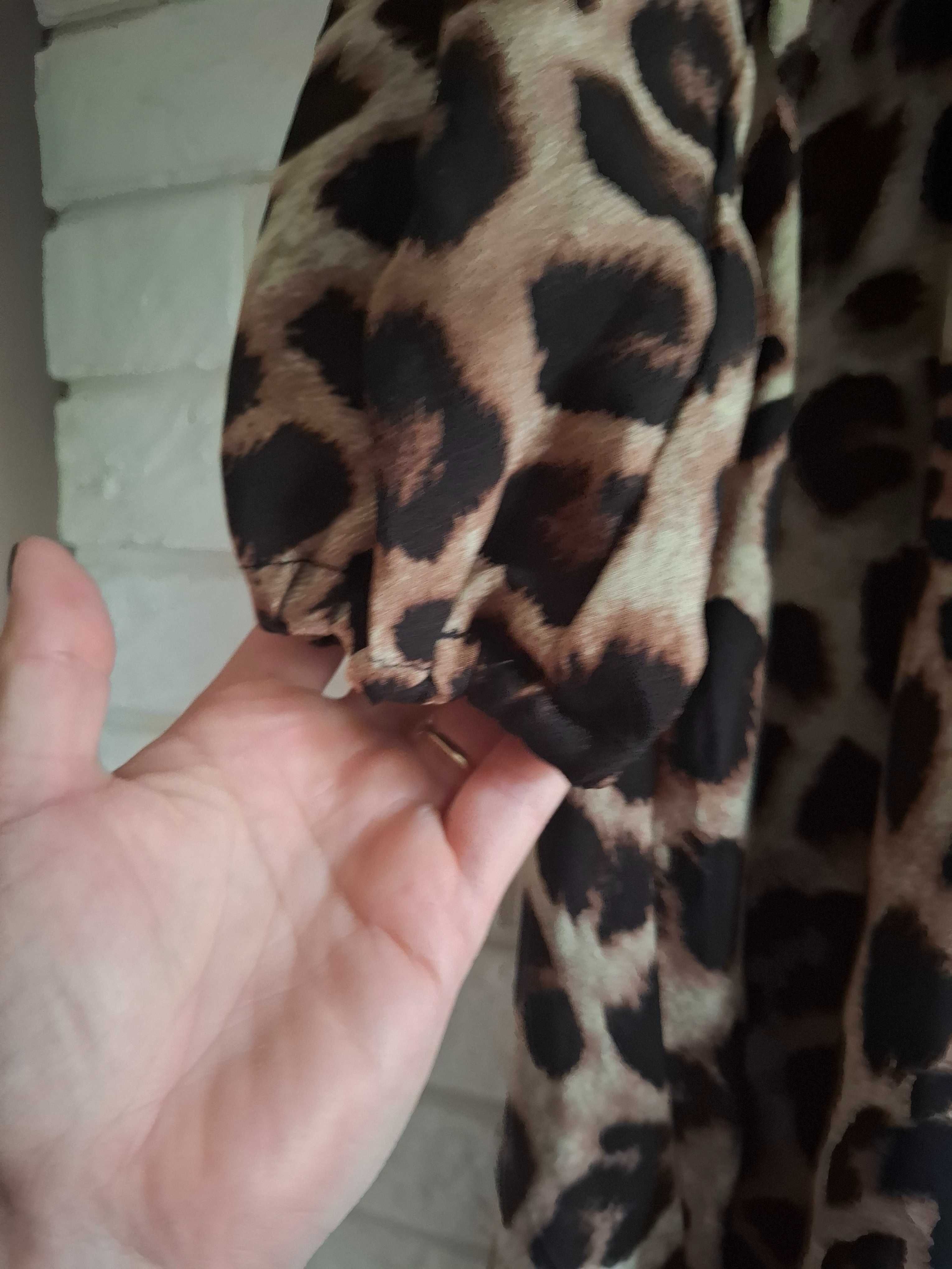 Sukienka w panterkę shein 2xl