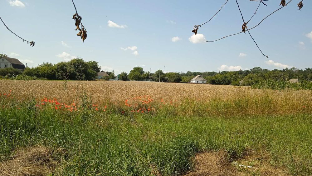 Продам будинок в с. Пустоварівка