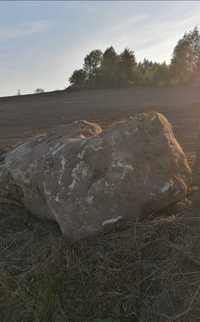 Kamień  polny  skalniak