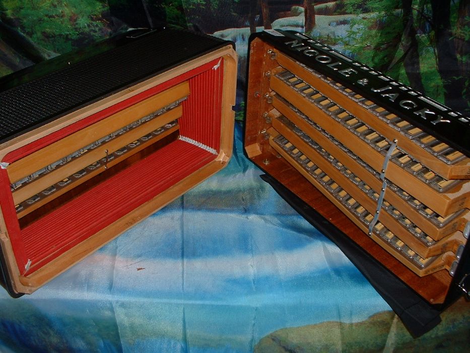 Acordeão Avenda G, .102