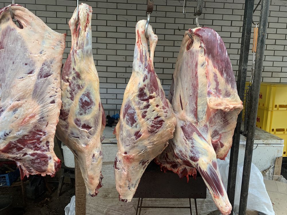Продам мясо яловичини баранини конини індивідуальний розруб є пилка!!!
