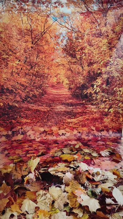 Tło fotograficzne gruby vinyl