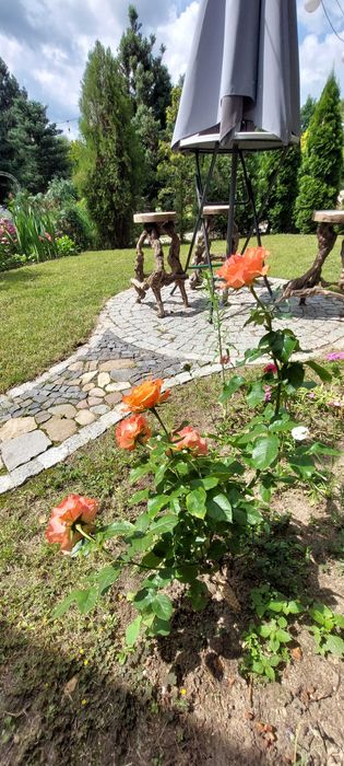 Pokoje, noclegi, sauna, Agroturystyka Laguna, Góry Sowie, Świdnica