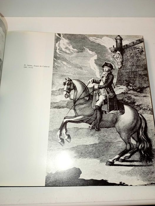 Cavalo Lusitano - O Filho do Vento