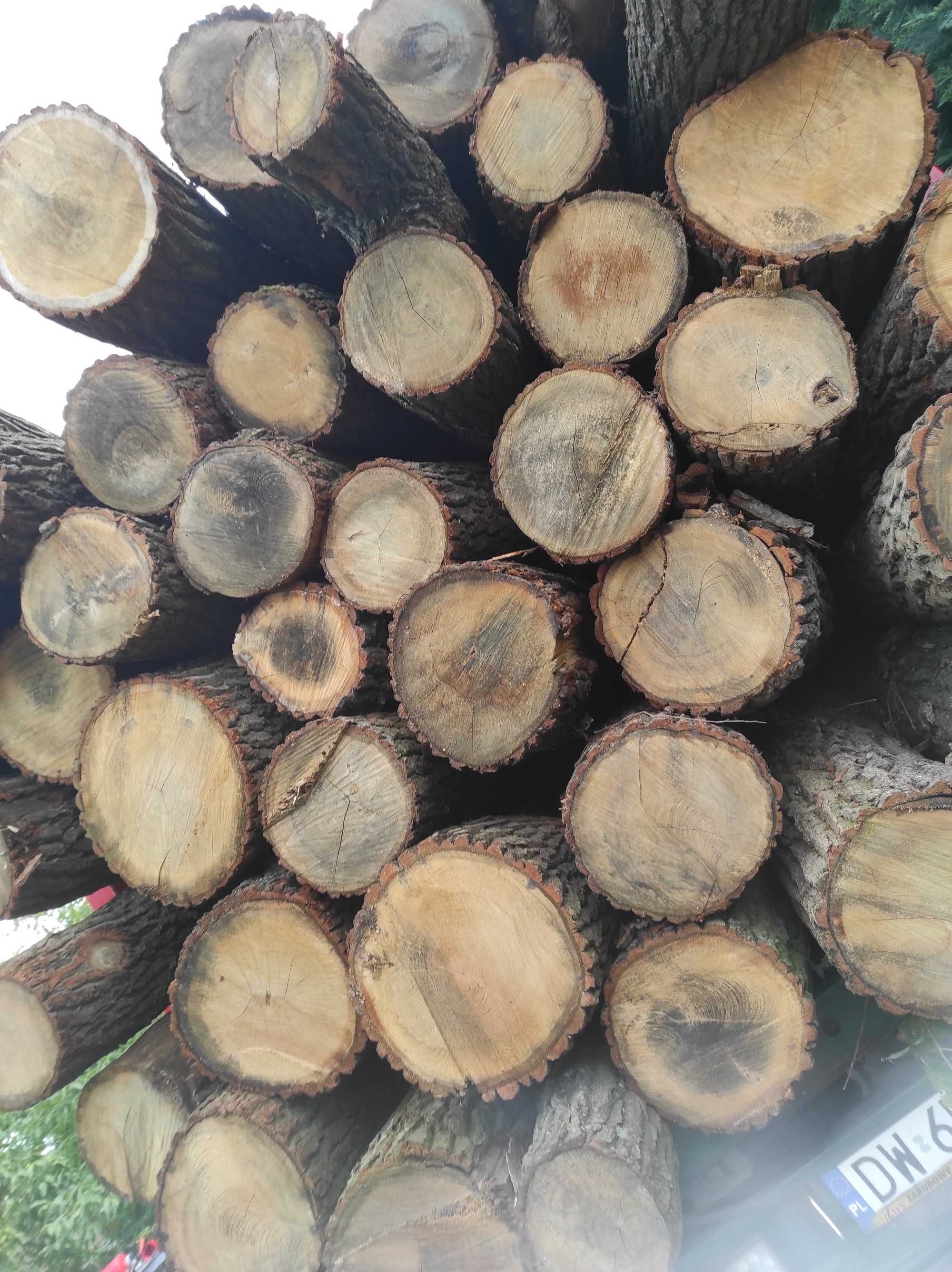Promocja Drewno opałowe - kominkowe gotowy produkt