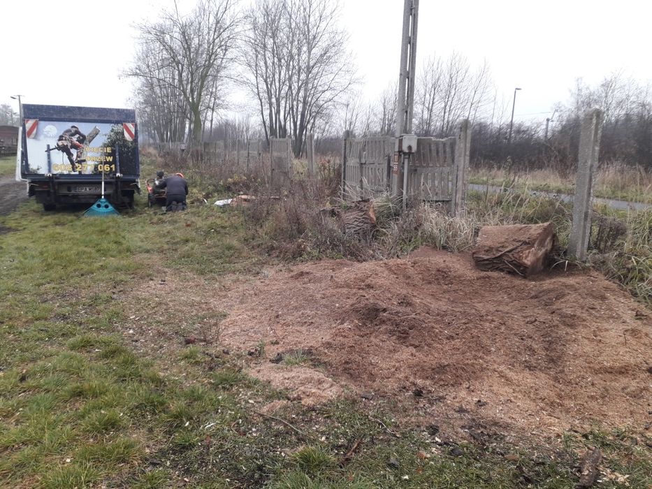 Drzewo drewn kominkowe opałowe Pabianice Łódź Rzgów Tuszyn Ksawerów