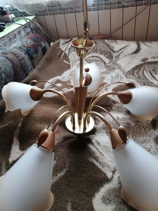 Żylandor do salonu czy pokoju