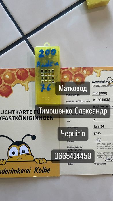 Матки Бакфаст F1. B1003, В200 Німеччина Ральф Кольбе