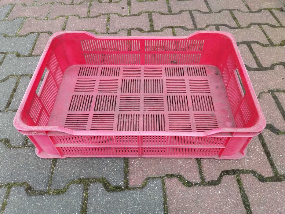 Plastikowe platony na owoce i warzywa platon