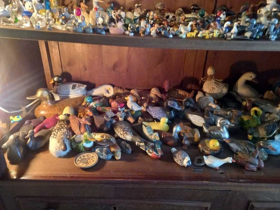 Patos decorativos para colecionadores