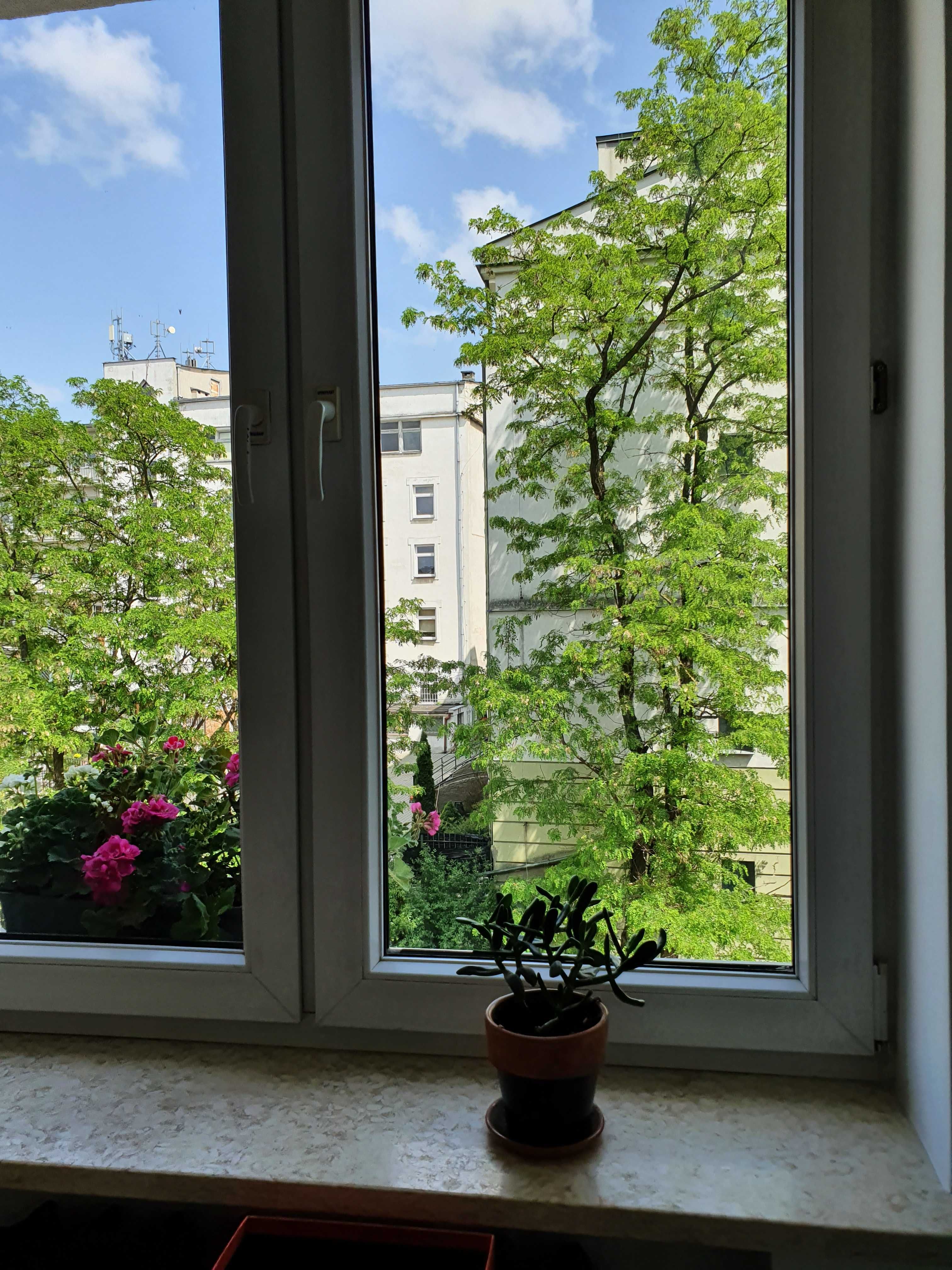 mieszkanie w centrum przy ulicy Ogrodowej