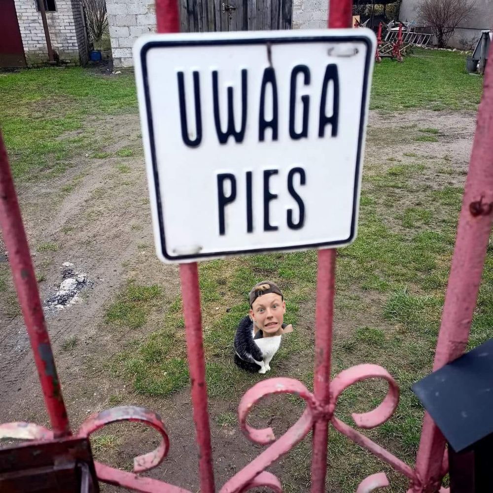 Plakietka uwaga pies