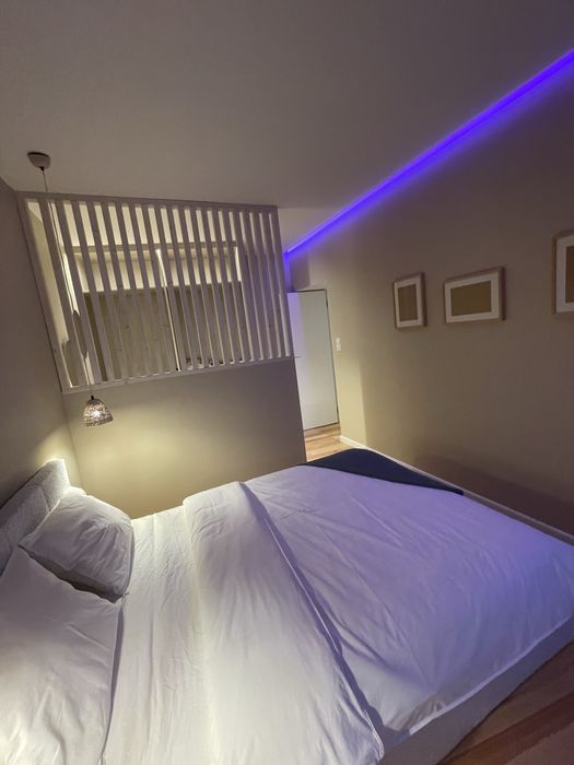 Lususowy apartament w centrum miasta