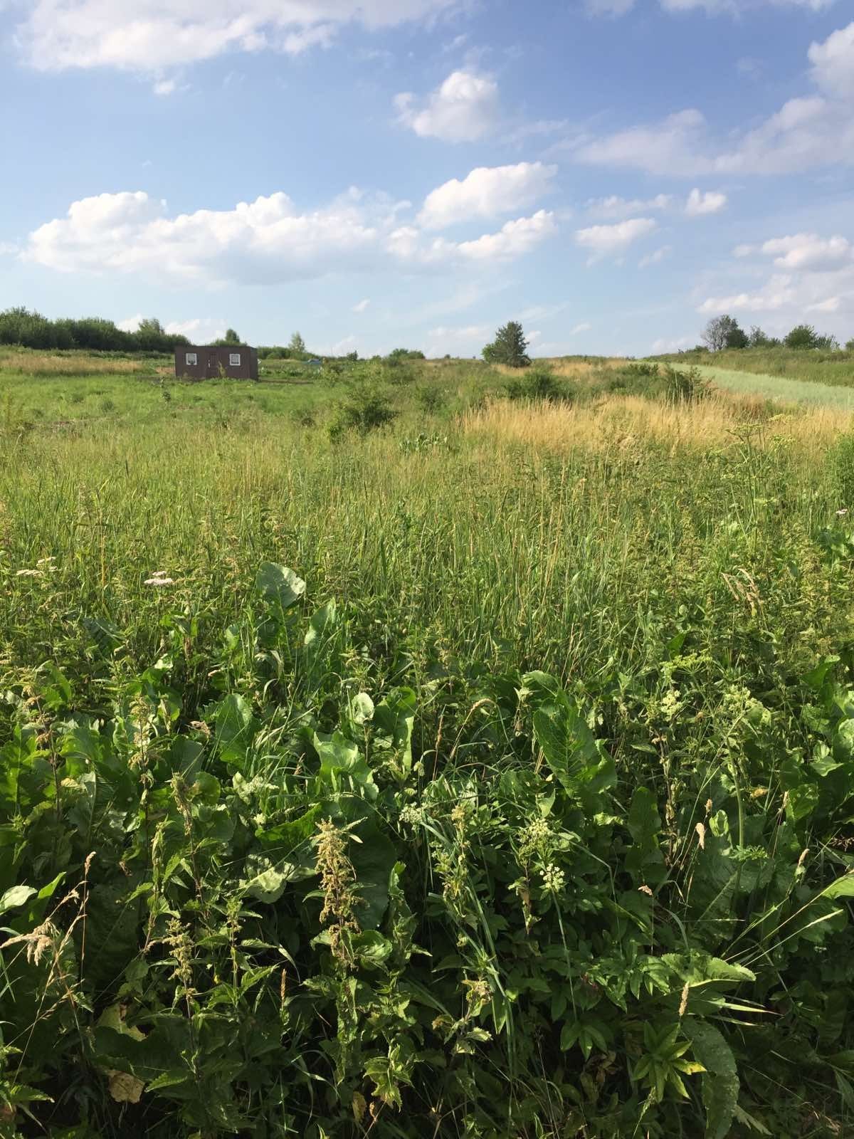 Продам земельну ділянку Сокільники.