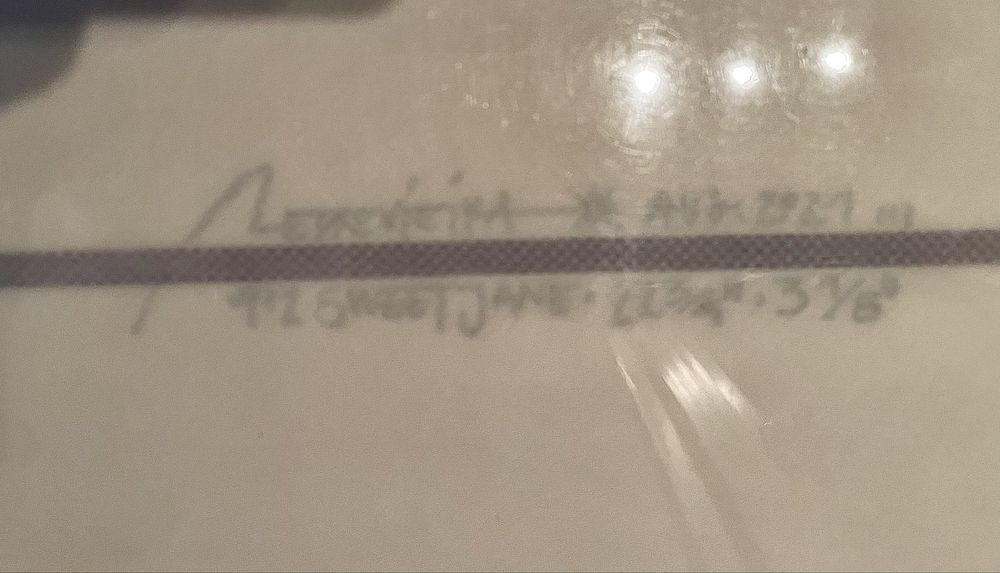 Longboard 9,2 Felflows Sweet Jane + capa