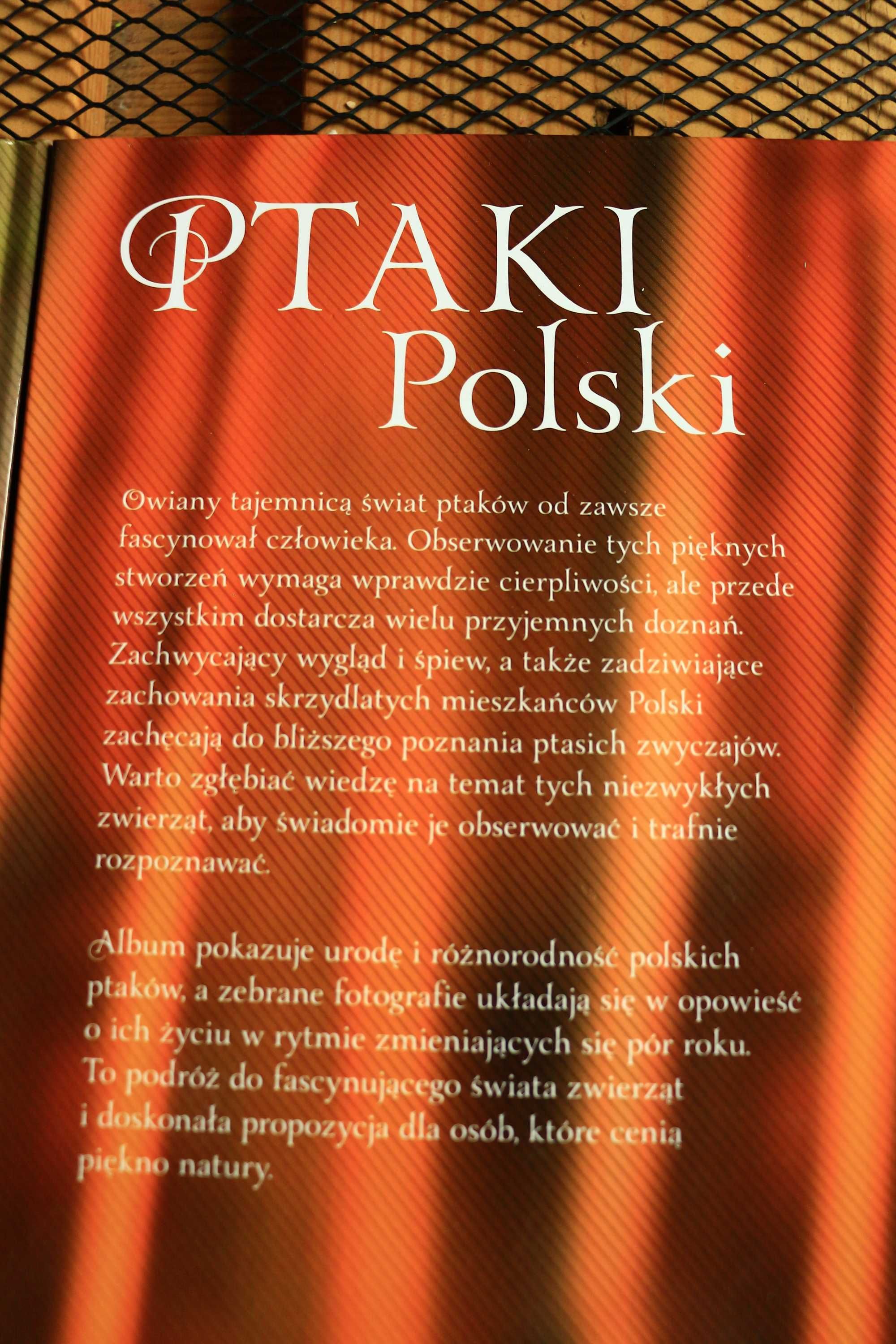 Komplet albumów Ptaki Polski, Psy, Koty piękne zdjęcia wyd.SBM
