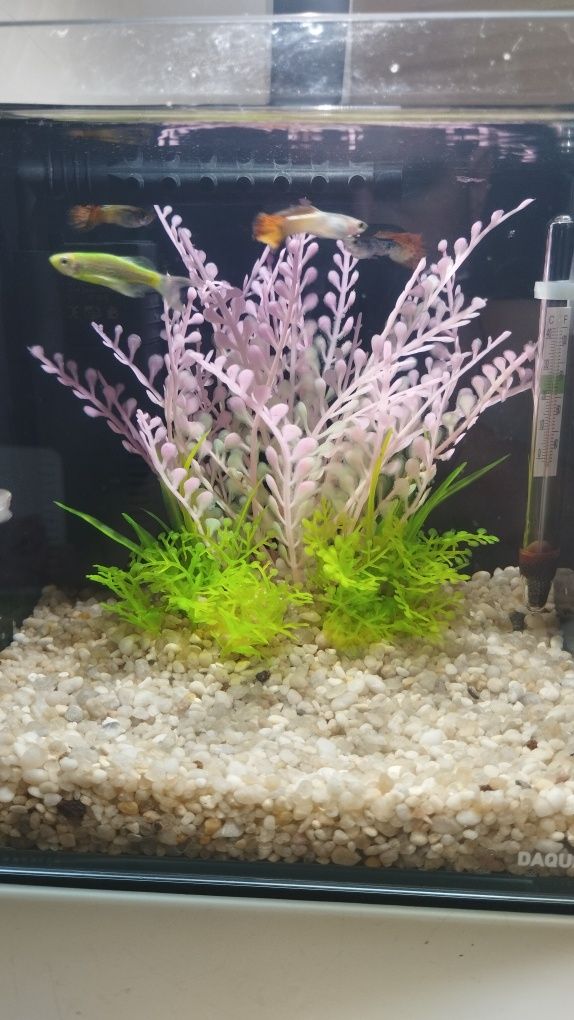 Продам Акваріум Pico Set Aquarium  desktop маленький на 5 л