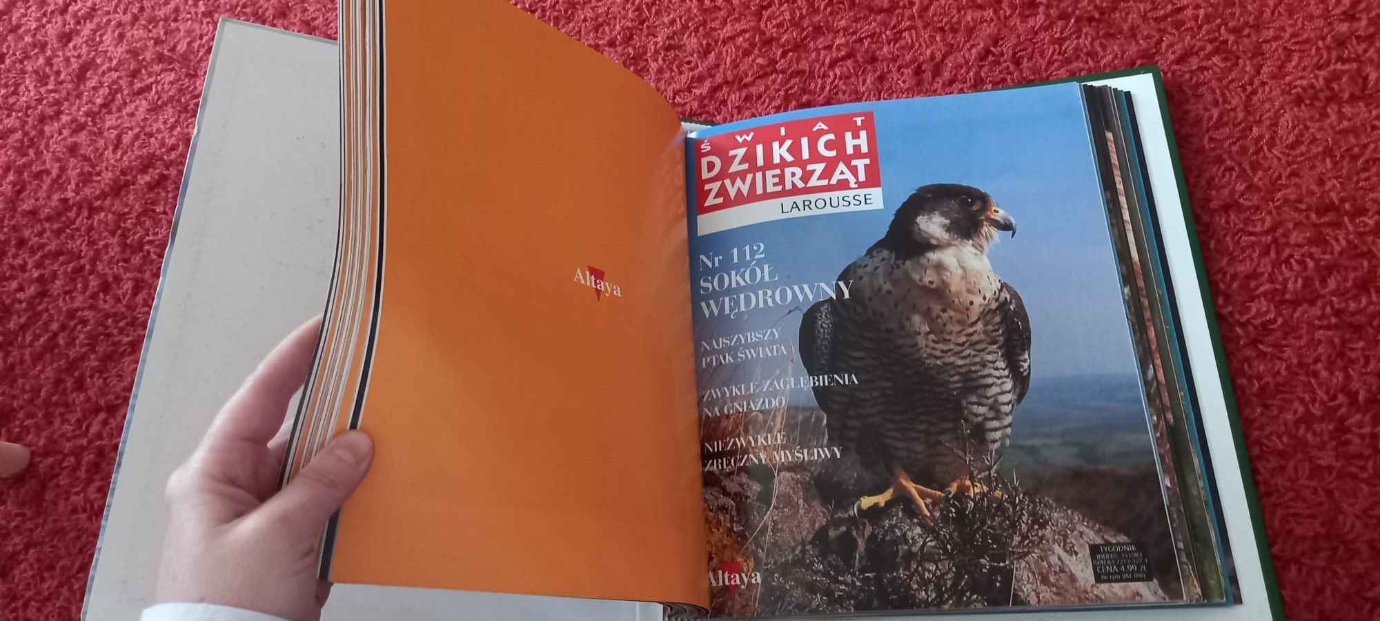 Kompletna kolekcja "Świat Dzikich Zwierząt