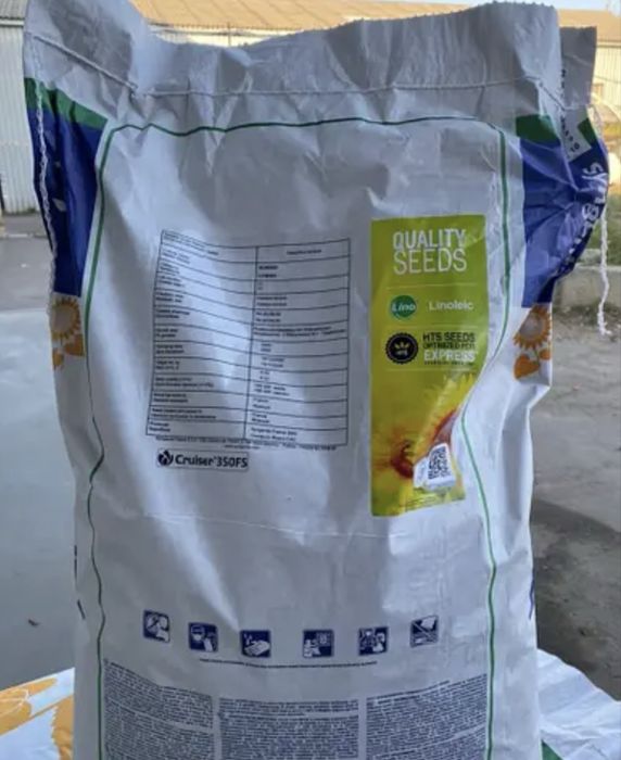 Насіння соняшника  сінгента