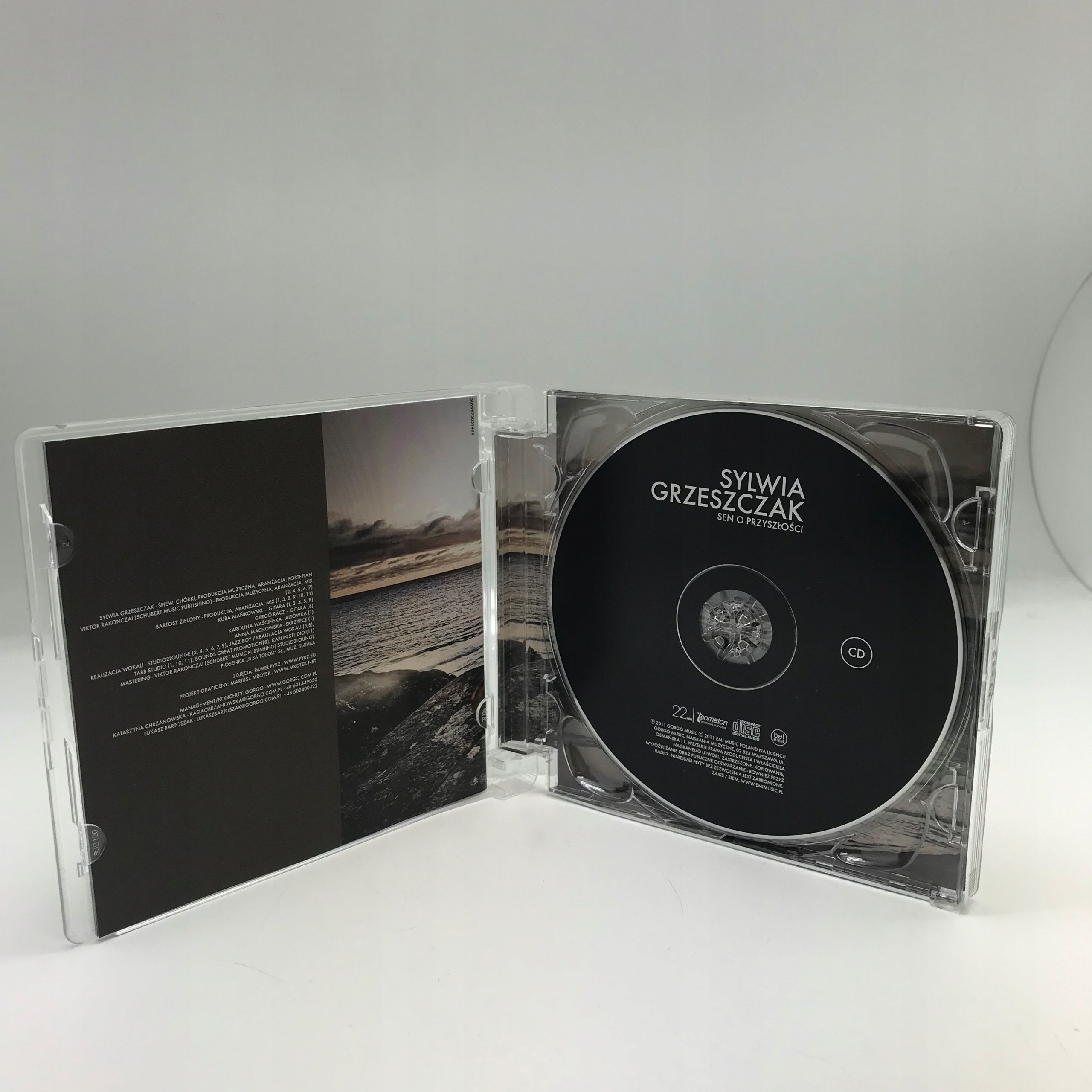 cd - sylwia grzeszczak - sen o przyszłości