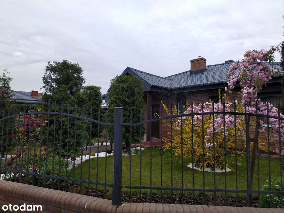 Dom mieszkalny i dom + budynek użytkowy do najmu